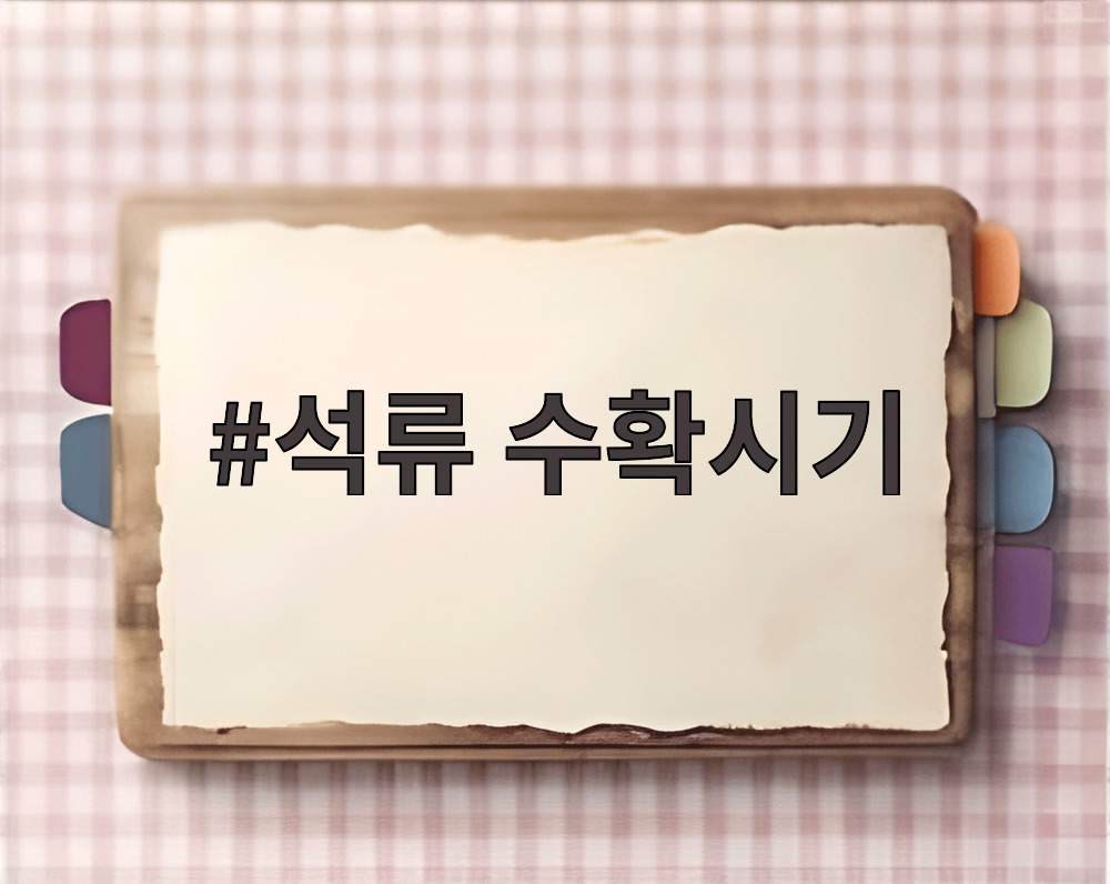 석류 수확시기