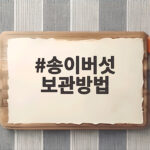 송이버섯 보관방법