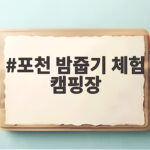 포천 밤줍기 체험 캠핑장