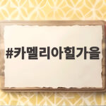 카멜리아힐 가을 핑크뮬리와 근처 맛집 카멜리아힐가을