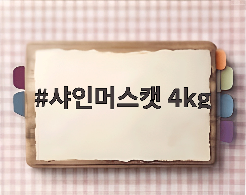 샤인머스캣 4kg