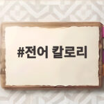 전어 칼로리 회 구이 비교와 다이어트 팁 전어 칼로리