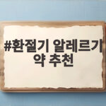 환절기 알레르기 약 추천 총정리 환절기 알레르기 약 추천