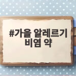 가을 알레르기 비염 약 바로 알고 쓰기 가을 알레르기 비염 약