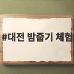 대전 밤줍기 체험