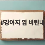 강아지 입 비린내