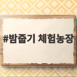 밤줍기 체험농장