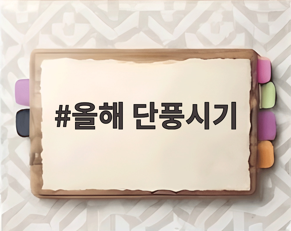 올해 단풍시기 절정을 맞은 설악산의 붉은 단풍 풍경