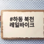 가을 하동 북천 레일바이크와 꽃축제 즐기는 법 하동 북천 레일바이크