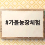 가을농장체험