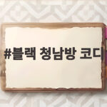 블랙 청남방 코디