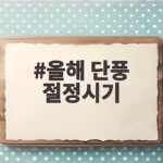 2026 올해 단풍 절정시기 지역별 일정 총정리 올해 단풍 절정시기