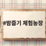 밤줍기 체험농장