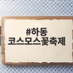 하동 코스모스꽃축제