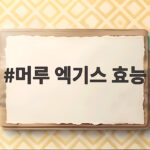 머루 엑기스 효능