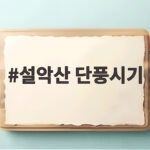 설악산 단풍시기