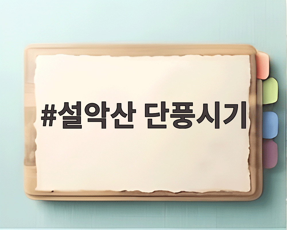 설악산 단풍시기