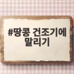 땅콩 건조기에 말리기 이렇게 하세요 땅콩 건조기에 말리기
