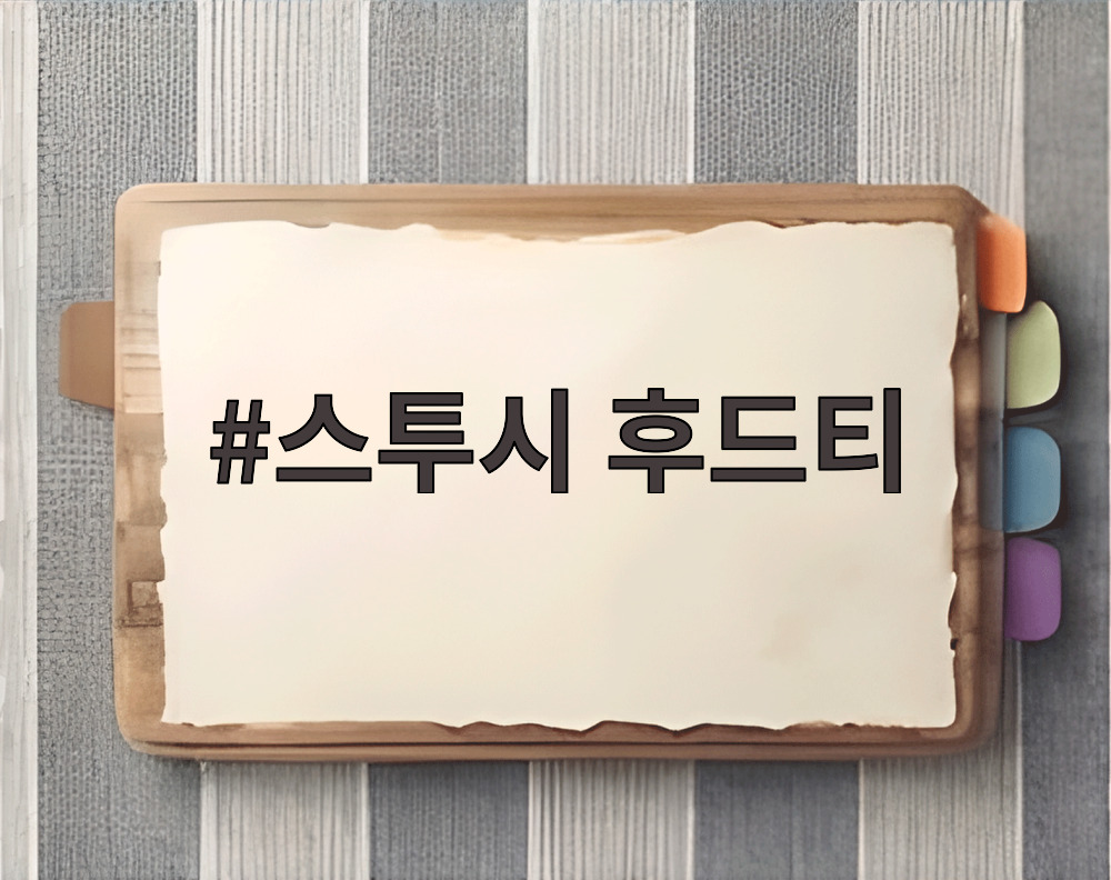 스투시 후드티