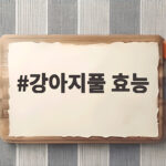 강아지풀 효능