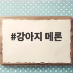 강아지 메론