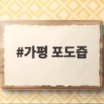 가평 포도즙