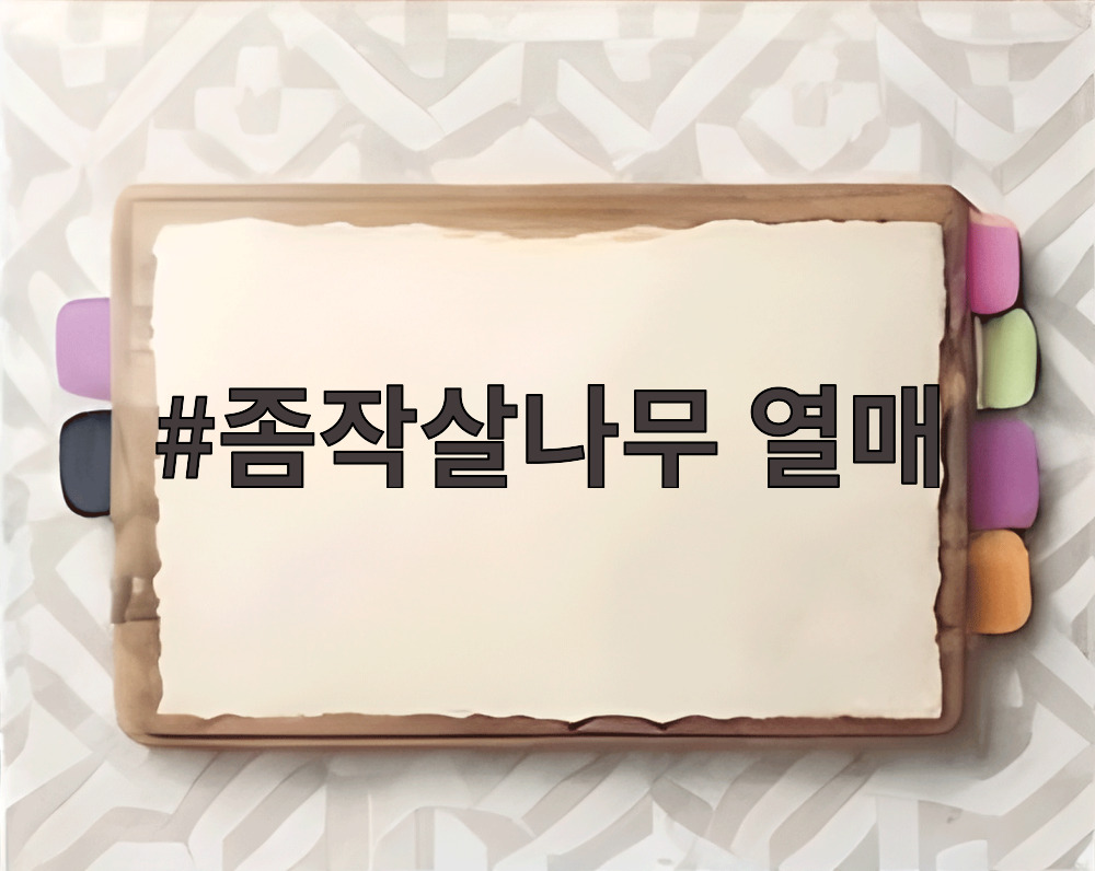 좀작살나무 열매
