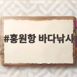 홍원항 바다낚시 처음 가도 실패 없는 이유와 준비 꿀팁 홍원항 바다낚시