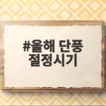 올해 단풍 절정시기 최신 예상 날짜와 추천 명소를 소개합니다 올해 단풍 절정시기