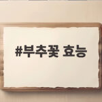 부추꽃 효능 제대로 누리는 방법과 놀라운 건강 효과 부추꽃 효능