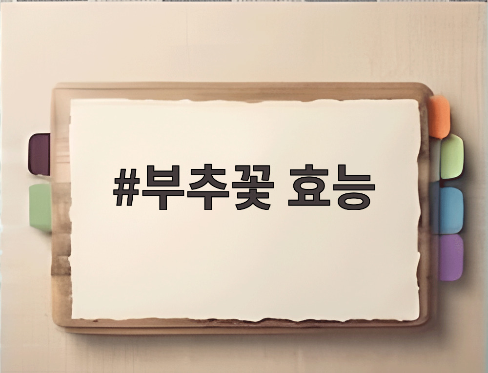 부추꽃 효능