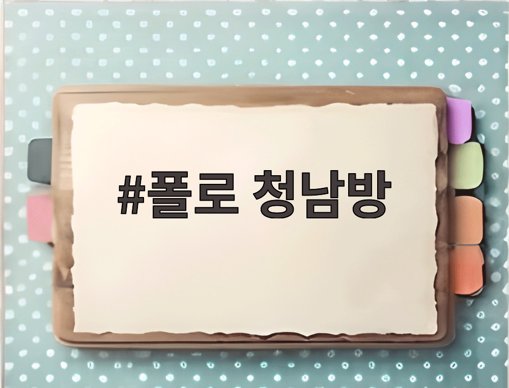 폴로 청남방