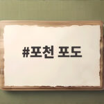 포천 포도