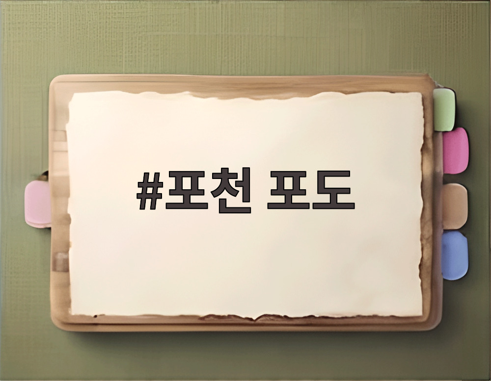 포천 포도