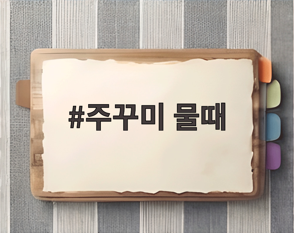 주꾸미 물때