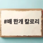 배 한개 칼로리 크기별 정리와 건강하게 먹는 법 배 한개 칼로리