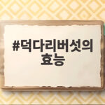 덕다리버섯의 효능