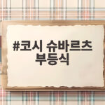 코시 슈바르츠 부등식
