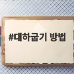대하굽기 방법 제철 새우 소금구이부터 에어프라이어까지 대하굽기 방법