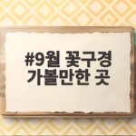 9월 꽃구경 가볼만한 곳