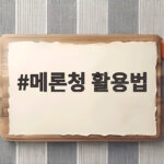 메론청 활용법으로 집에서 카페 음료보다 맛있는 여름을 만드는 비결 메론청 활용법
