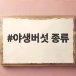 가을 산에서 만난 야생버섯 종류, 먹기 전에 꼭 알아야 할 것들 야생버섯 종류