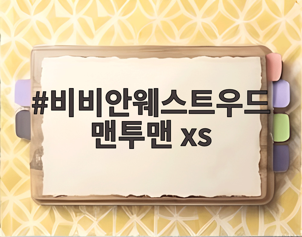 비비안웨스트우드 맨투맨 xs