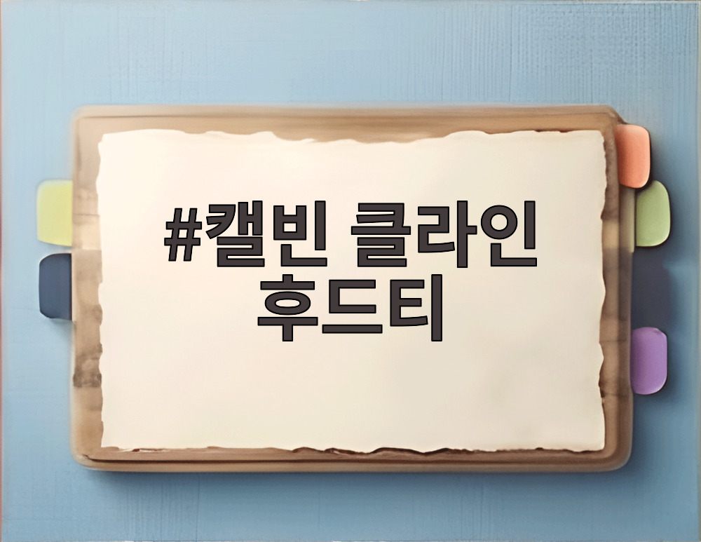 캘빈 클라인 후드티