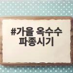 가을 옥수수 파종시기