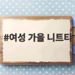 여성 가을 니트티