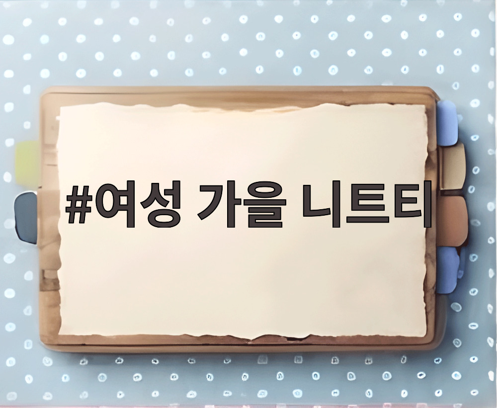 여성 가을 니트티