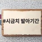 시금치 발아기간 며칠이면 충분할까 흙만 봐도 답이 나와요 시금치 발아기간