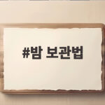 밤 보관법 냉장 냉동 소분만 잘해도 오래 싱싱하게 유지하는 방법 밤 보관법