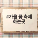 가을 꽃 축제 하는곳